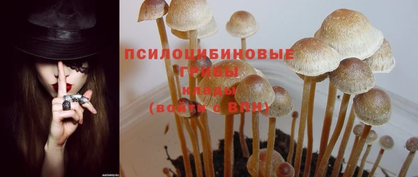 стаф Остров