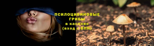 МДПВ Осинники
