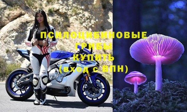 стаф Остров
