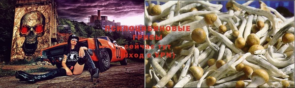 МДПВ Осинники