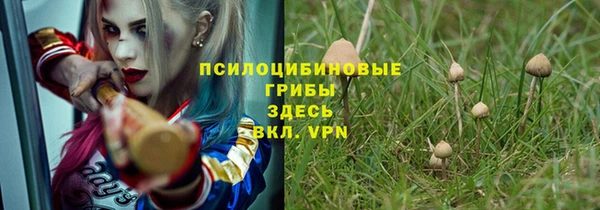 стаф Остров